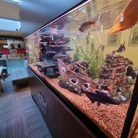 Lägenhet 365pam - Prywatny Arka